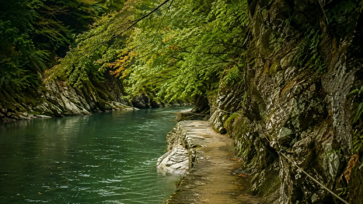 A flat-bottomed Hozugawa boat worked with poles and oars between Kameoka and Arashiyama